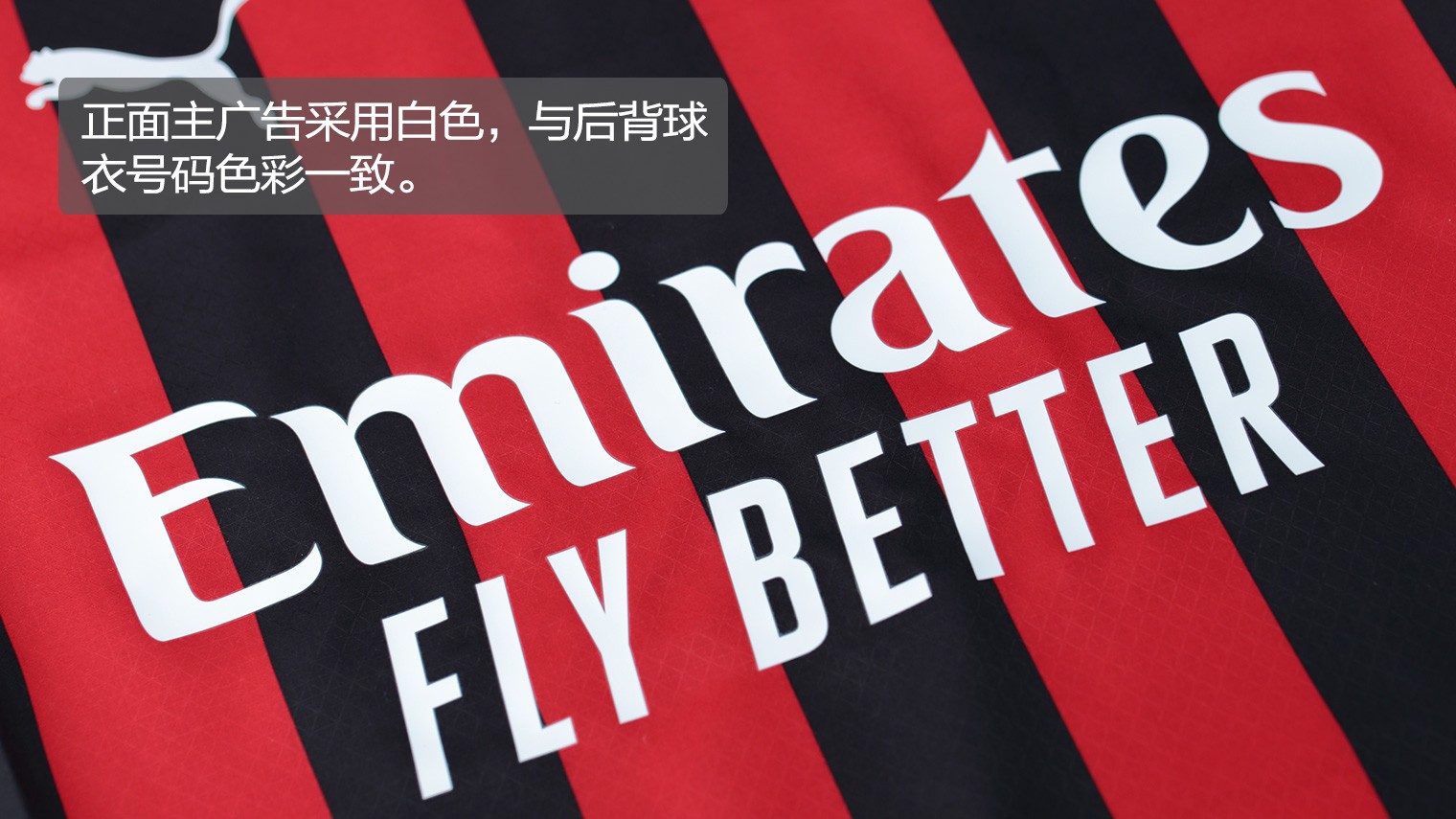 单届世欧预／欧预赛进球榜：哈兰德、莱万16球并列第一（世欧预／欧预赛单届射手榜：哈兰德、莱万同以16球并列榜首）